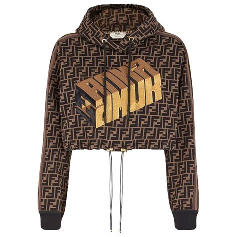 fendi roma hoodie price